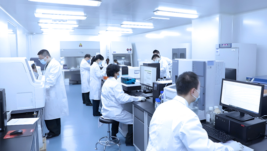专业研发团队，提供专业解决方案
